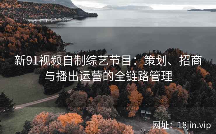 新91视频自制综艺节目：策划、招商与播出运营的全链路管理