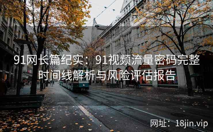 91网长篇纪实：91视频流量密码完整时间线解析与风险评估报告