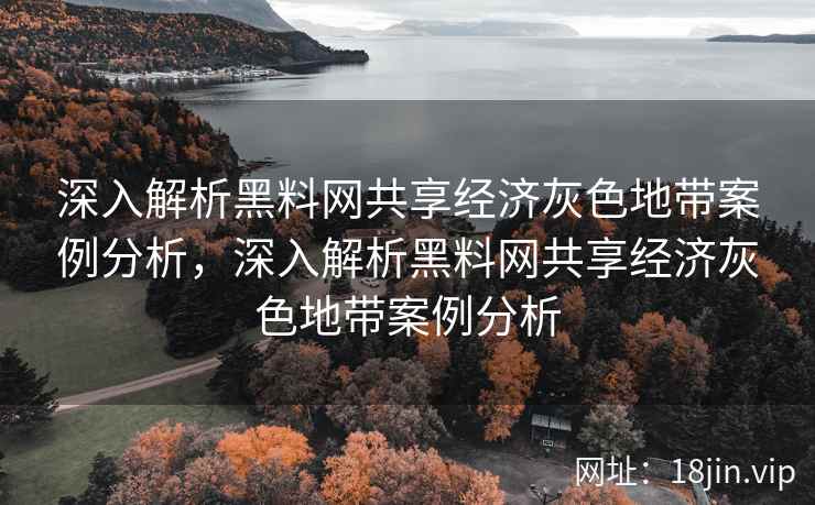 深入解析黑料网共享经济灰色地带案例分析，深入解析黑料网共享经济灰色地带案例分析