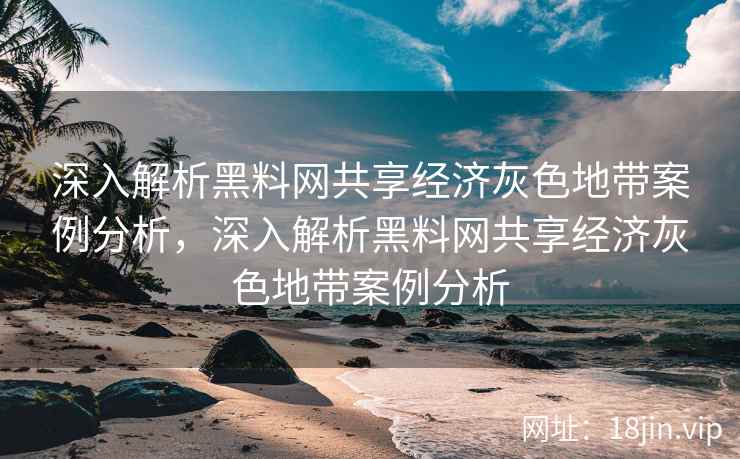 深入解析黑料网共享经济灰色地带案例分析，深入解析黑料网共享经济灰色地带案例分析