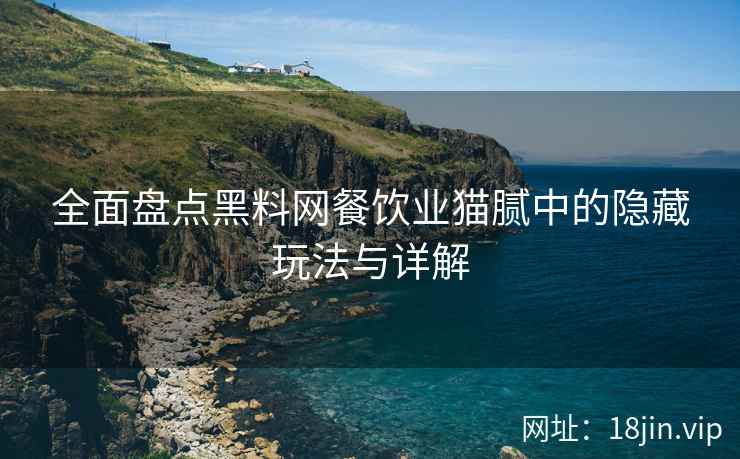全面盘点黑料网餐饮业猫腻中的隐藏玩法与详解