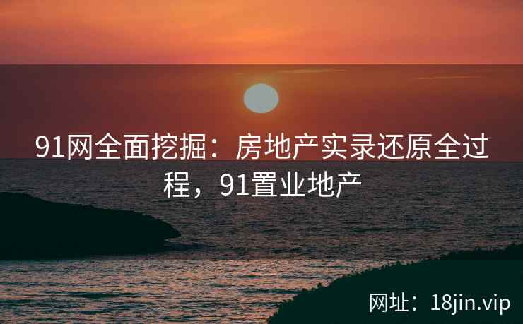 91网全面挖掘：房地产实录还原全过程，91置业地产